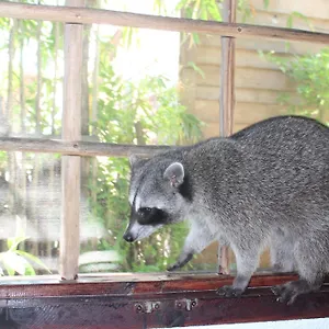 Apartamento Close To The Town Utopia, Isla Holbox